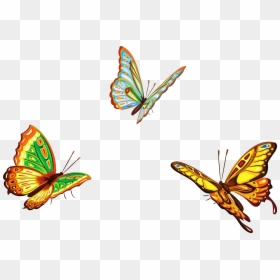 Butterflies Png, Transparent Png - butterflies png