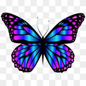 Purple Butterfly Clip Art, HD Png Download - butterflies png
