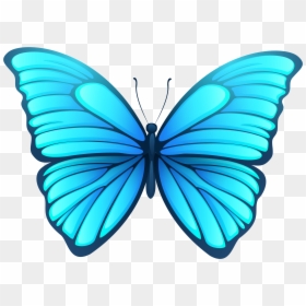 Transparent Background Butterfly Png, Png Download - butterflies png