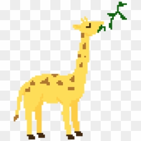 Giraffe, HD Png Download - giraffe png