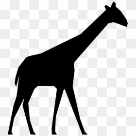 Siluetas De Animales Png, Transparent Png - giraffe png