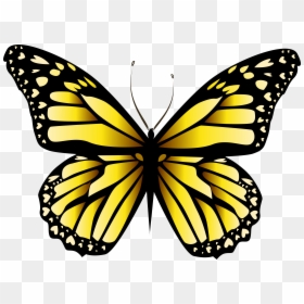 Yellow Butterfly Transparent, HD Png Download - butterflies png