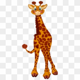 Giraffe, HD Png Download - giraffe png