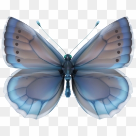 Butterfly Strass Png, Transparent Png - butterflies png