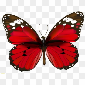 Happy New Year Butterfly, HD Png Download - butterflies png