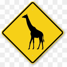 Giraffe, HD Png Download - giraffe png