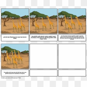 Storyboard Good Samaritan, HD Png Download - giraffe png