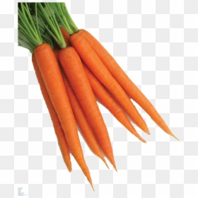 Baby Carrot, HD Png Download - carrot png