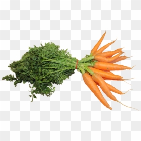 Carrot Png, Transparent Png - carrot png
