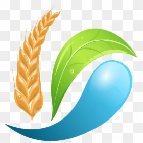 Logo Design Agriculture Company Logo Png, Transparent Png - wheat png