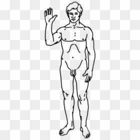Sample Drawing For Neuro Exam, HD Png Download - human png