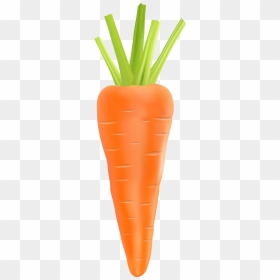 Vegetables Clipart Transparent Background, HD Png Download - carrot png
