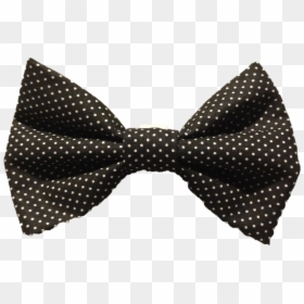 Transparent Sparkly Bow Tie, HD Png Download - bow tie png