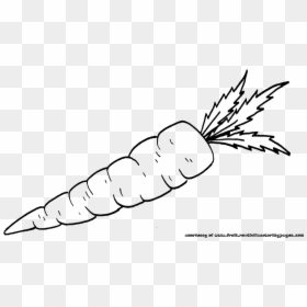 Carrots Black And White, HD Png Download - carrot png