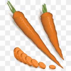 Carrot, HD Png Download - carrot png