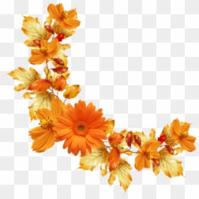 Transparent Background Orange Flower Png, Png Download - flower border png