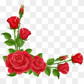Transparent Background Roses Clipart, HD Png Download - flower border png