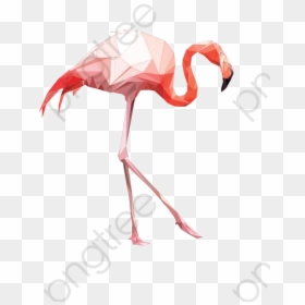 Flamingo Png, Transparent Png - flamingo png