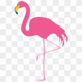 Flamingo Thank You, HD Png Download - flamingo png