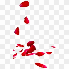 Rose Petals Png Transparent, Png Download - rose petals png