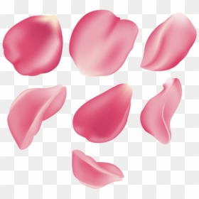 Pink Rose Petal Png, Transparent Png - rose petals png