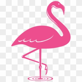 Icon Png Me Pink, Transparent Png - flamingo png
