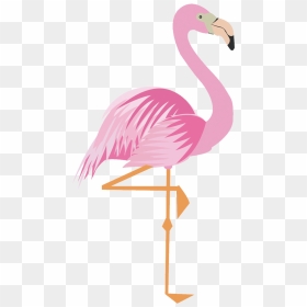 Cartoon Flamingo Transparent Background, HD Png Download - flamingo png