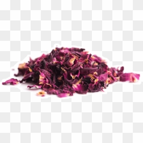 Rose Petals Powder, HD Png Download - rose petals png