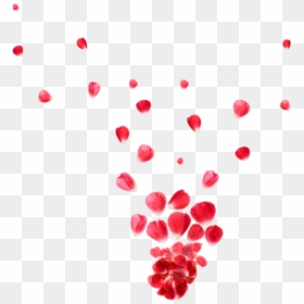 Illustration, HD Png Download - rose petals png