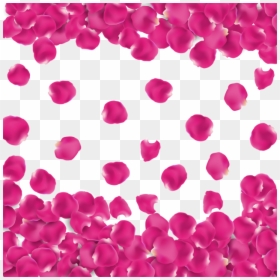 Petalos Png, Transparent Png - rose petals png