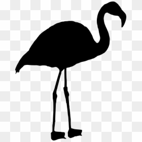 Flamenco Png Negro, Transparent Png - flamingo png