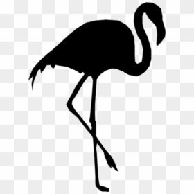 Фламинго Пнг, HD Png Download - flamingo png