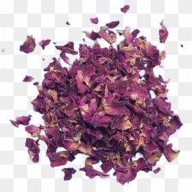 Transparent Dried Rose Petals, HD Png Download - rose petals png
