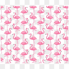 Flamingo Pattern Png, Transparent Png - flamingo png