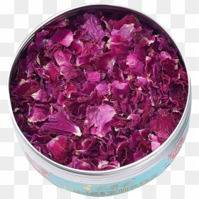 Rose, HD Png Download - rose petals png