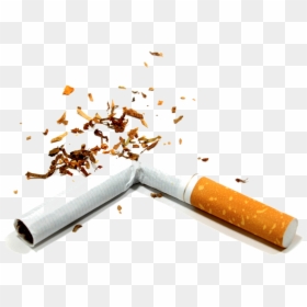 Tobacco And Alcohol Prevention, HD Png Download - cigar png