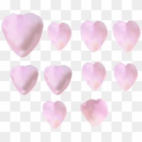 Rose Petals Png, Transparent Png - rose petals png