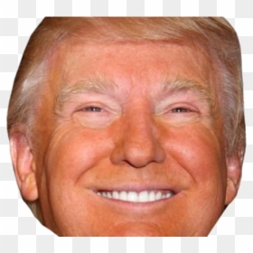 Cut Out Donald Trump Head, HD Png Download - trump head png