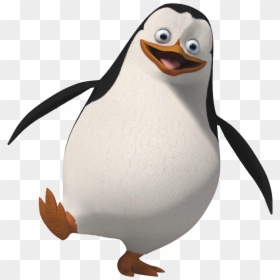 Recruta Os Pinguins De Madagascar, HD Png Download - penguin png