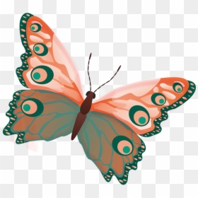 Colour Butterfly, HD Png Download - butterfly png