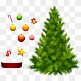 Transparent Background Christmas Tree Png, Png Download - christmas tree png