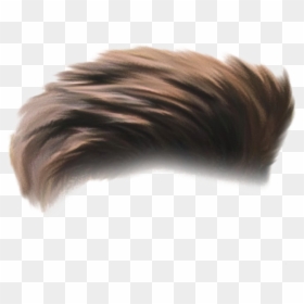 Hair Png For Boy, Transparent Png - hair png