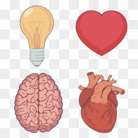 Brain And Heart Png, Transparent Png - brain png
