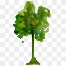 Watercolor Tree Png, Transparent Png - trees png