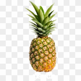 Pineapple Fruit, HD Png Download - pineapple png