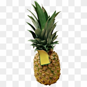 Pineapple, HD Png Download - pineapple png