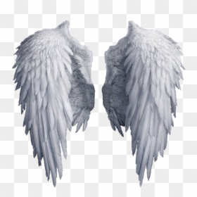 Transparent Background Angel Wings Png, Png Download - halo png