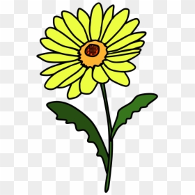 Aesthetic Daisy Stickers, HD Png Download - sunflower png