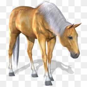 Portable Network Graphics, HD Png Download - horse png