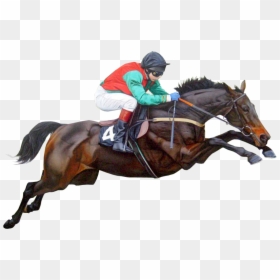Race Horse Transparent Background, HD Png Download - horse png